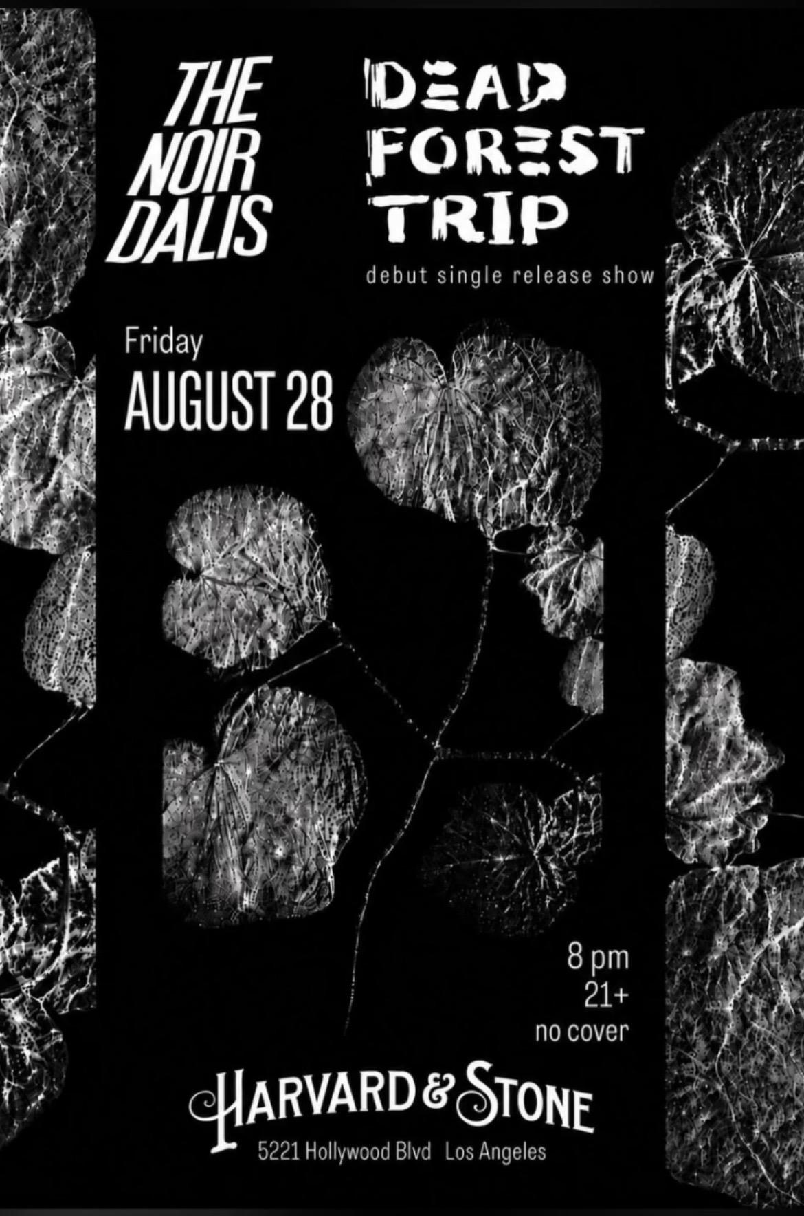 Midway Concerts presents: flyer