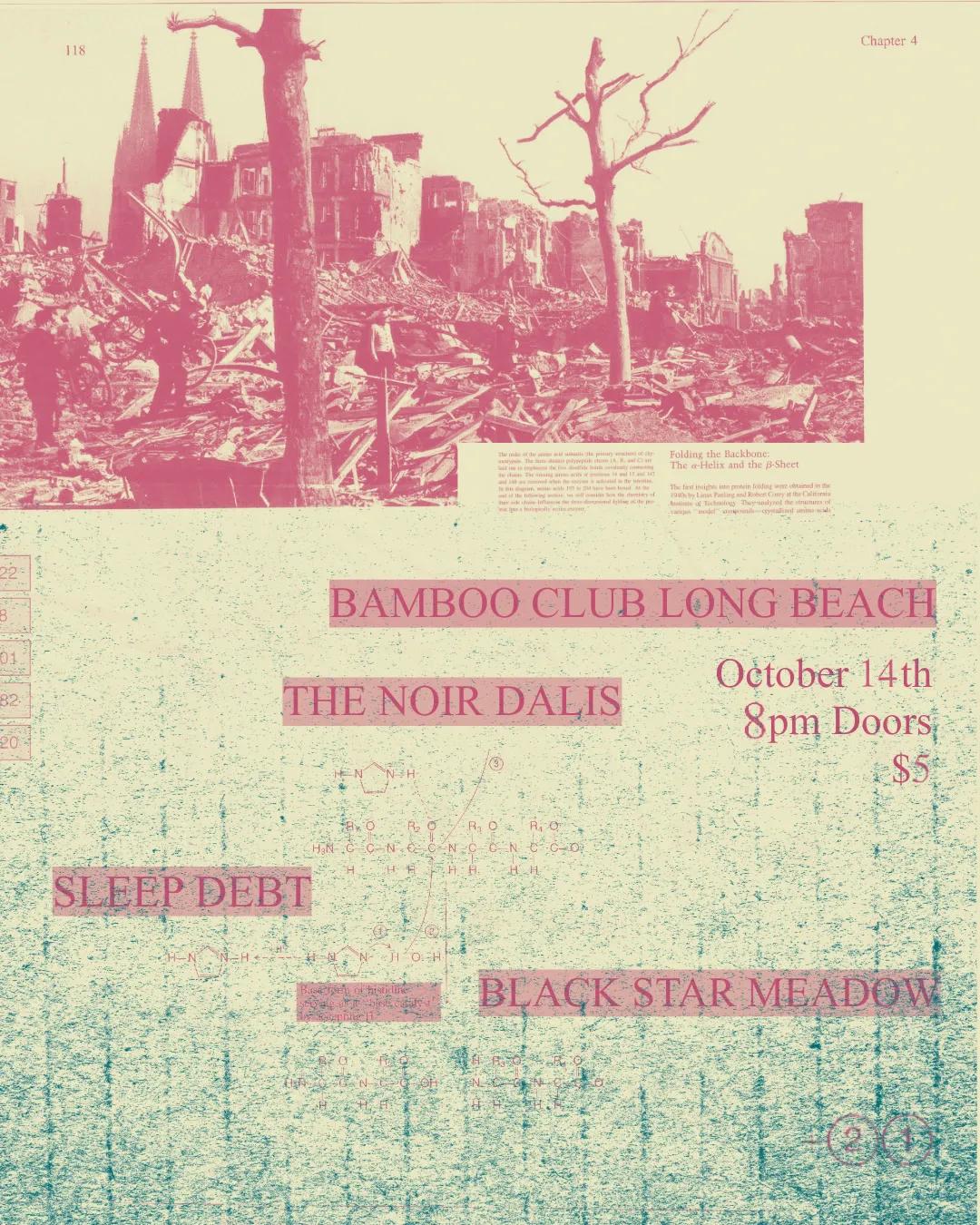 Noir Dalis, Black Star Meadow, Sleep Debt flyer